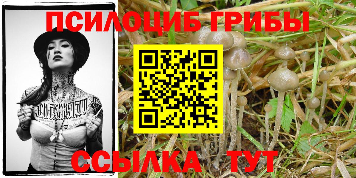 Ижевск  Псилоцибиновые грибы мицелий  Вход с VPN  Псилоцибиновые грибы мухоморы 